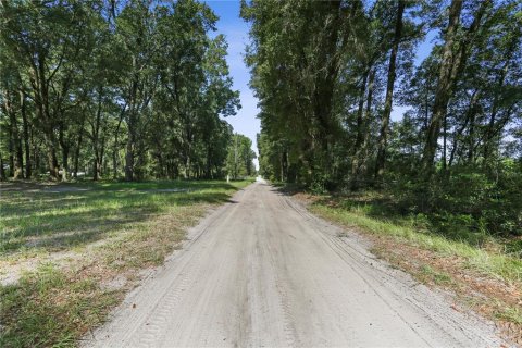 Land in Archer, Florida № 1349093 - photo 14