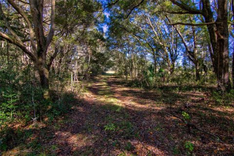 Land in Archer, Florida № 1349093 - photo 12