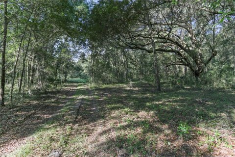 Terreno en venta en Archer, Florida № 1349093 - foto 5