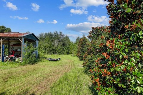 Terreno en venta en Trenton, Florida № 1336224 - foto 7