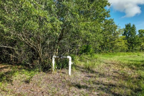 Terreno en venta en Trenton, Florida № 1336224 - foto 10