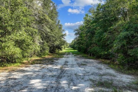 Land in Trenton, Florida № 1336224 - photo 2