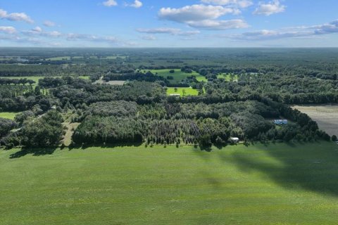 Land in Trenton, Florida № 1336224 - photo 18