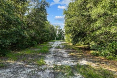 Terreno en venta en Trenton, Florida № 1336224 - foto 13