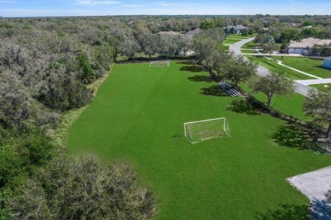 Land in Parrish, Florida № 1341064 - photo 14