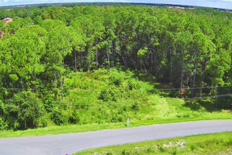 Terreno en venta en Davenport, Florida № 1341063 - foto 8