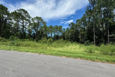 Terreno en venta en Davenport, Florida № 1341063 - foto 1