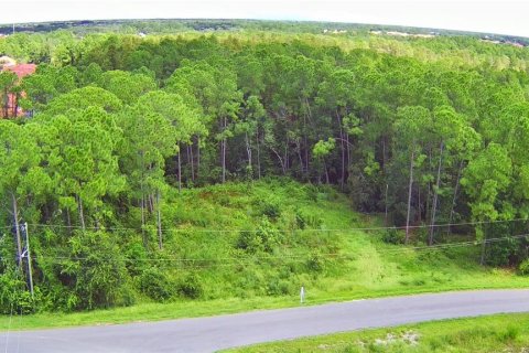 Terreno en venta en Davenport, Florida № 1341063 - foto 3