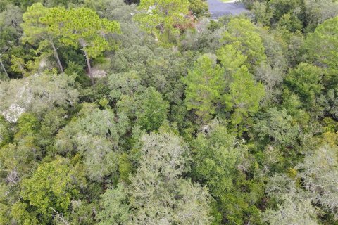 Terreno en venta en Osteen, Florida № 1376214 - foto 6