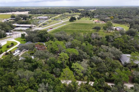 Terreno en venta en Osteen, Florida № 1376214 - foto 3