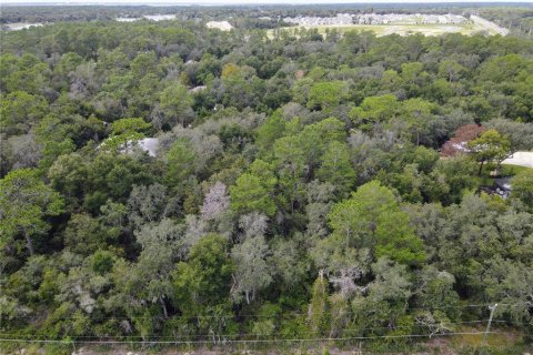 Terreno en venta en Osteen, Florida № 1376214 - foto 5