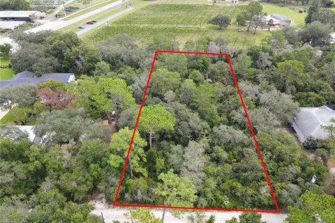 Terreno en venta en Osteen, Florida № 1376214 - foto 2