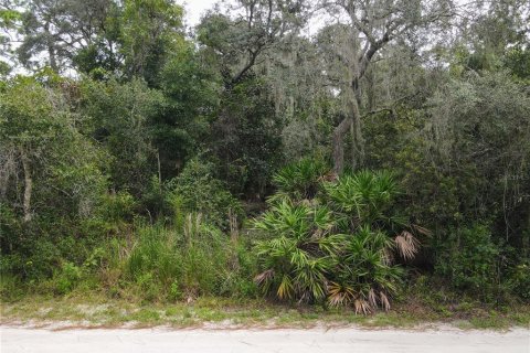 Terreno en venta en Osteen, Florida № 1376214 - foto 1