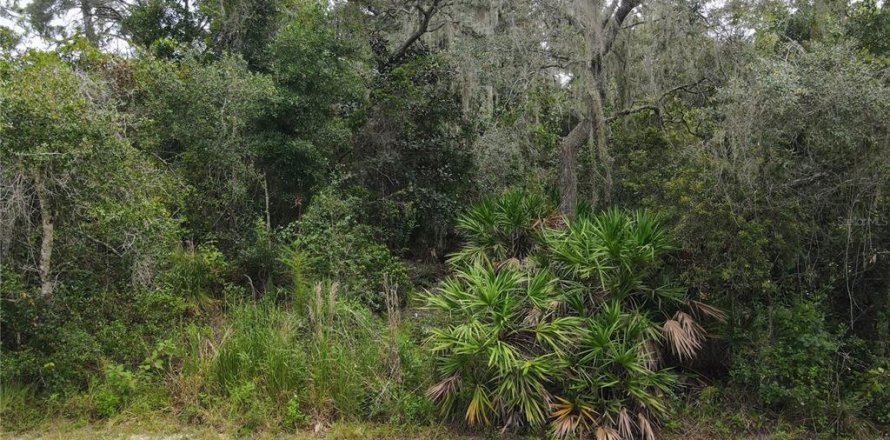 Terrain à Osteen, Floride № 1376214