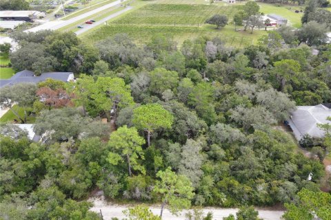 Terreno en venta en Osteen, Florida № 1376214 - foto 4