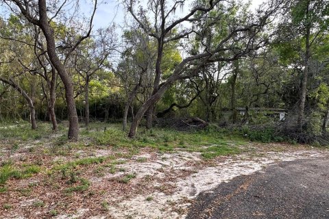 Land in New Port Richey, Florida № 1063378 - photo 29