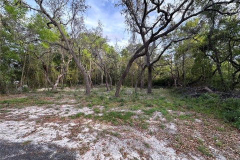 Land in New Port Richey, Florida № 1063378 - photo 11