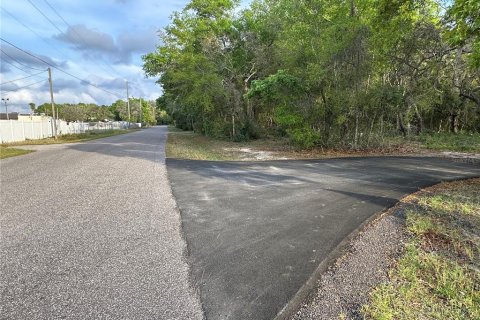 Land in New Port Richey, Florida № 1063378 - photo 3