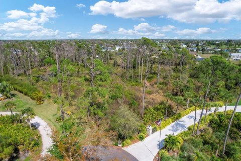 Terreno en venta en Englewood, Florida № 1053250 - foto 17