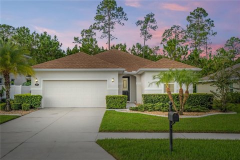 Villa ou maison à vendre à Ormond Beach, Floride: 3 chambres, 178.37 m2 № 1353087 - photo 1