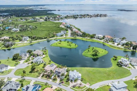 Villa ou maison à vendre à Tarpon Springs, Floride: 4 chambres, 281.87 m2 № 1344749 - photo 7