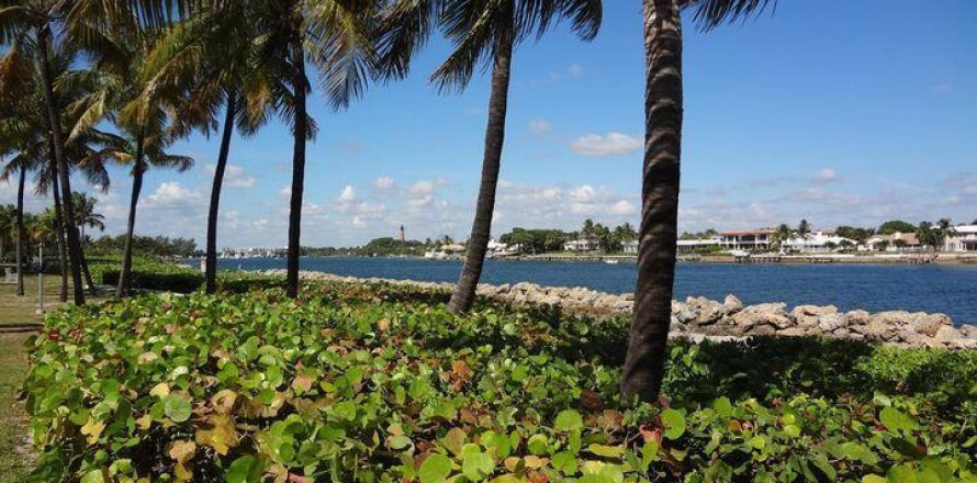 Condo in Jupiter, Florida, 3 bedrooms  № 1040875