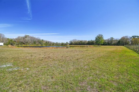 Land in Odessa, Florida № 1030090 - photo 6