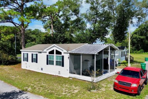 Immobilier commercial à vendre à DeLand, Floride: 26 chambres, 1207.73 m2 № 1338936 - photo 6