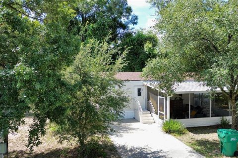 Immobilier commercial à vendre à DeLand, Floride: 26 chambres, 1207.73 m2 № 1338936 - photo 5