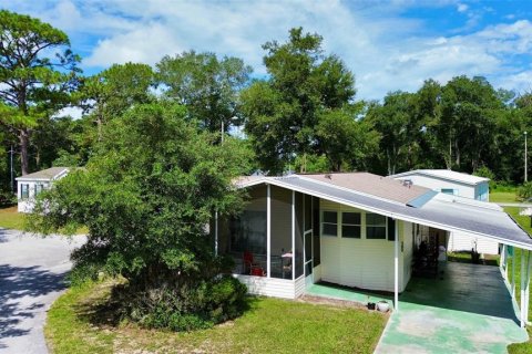 Propiedad comercial en venta en DeLand, Florida, 26 dormitorios, 1207.73 m2 № 1338936 - foto 4