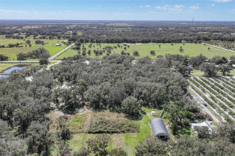 Terreno en venta en Arcadia, Florida № 1419288 - foto 19