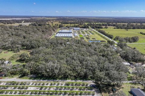 Terreno en venta en Arcadia, Florida № 1419288 - foto 22