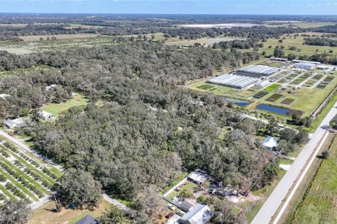 Terreno en venta en Arcadia, Florida № 1419288 - foto 8