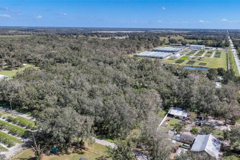 Terreno en venta en Arcadia, Florida № 1419288 - foto 23