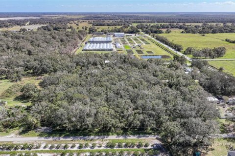 Terreno en venta en Arcadia, Florida № 1419288 - foto 4