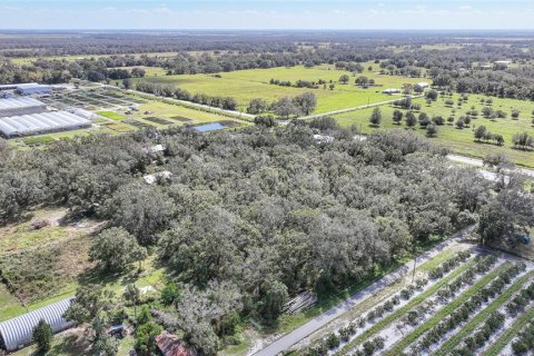 Terreno en venta en Arcadia, Florida № 1419288 - foto 3