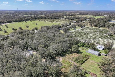 Terreno en venta en Arcadia, Florida № 1419288 - foto 17