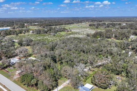 Terreno en venta en Arcadia, Florida № 1419288 - foto 12