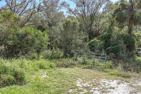 Terreno en venta en Arcadia, Florida № 1419288 - foto 1