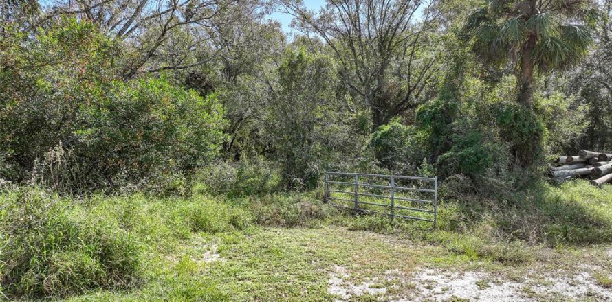 Terreno en Arcadia, Florida № 1419288