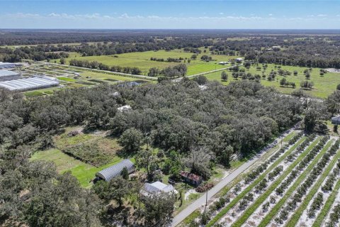 Terreno en venta en Arcadia, Florida № 1419288 - foto 20