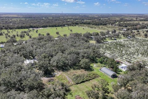 Terreno en venta en Arcadia, Florida № 1419288 - foto 18