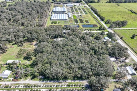 Terreno en venta en Arcadia, Florida № 1419288 - foto 5