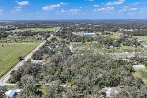 Terreno en venta en Arcadia, Florida № 1419288 - foto 13