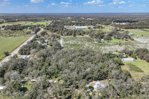 Terreno en venta en Arcadia, Florida № 1419288 - foto 16