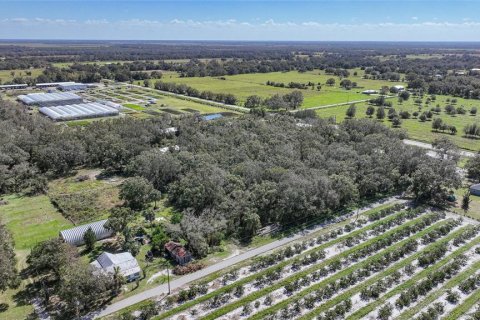 Terreno en venta en Arcadia, Florida № 1419288 - foto 21