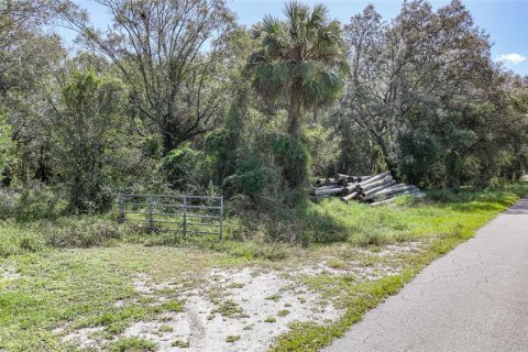 Terreno en venta en Arcadia, Florida № 1419288 - foto 2