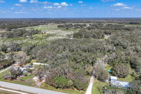 Terreno en venta en Arcadia, Florida № 1419288 - foto 11