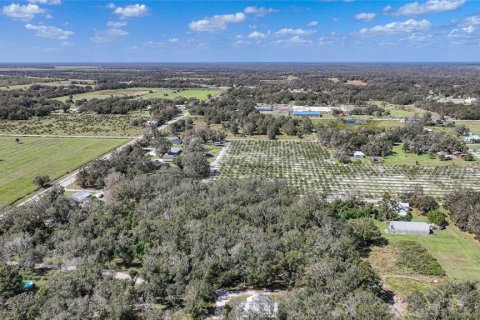 Terreno en venta en Arcadia, Florida № 1419288 - foto 14