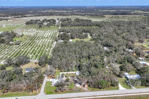 Terreno en venta en Arcadia, Florida № 1419288 - foto 9